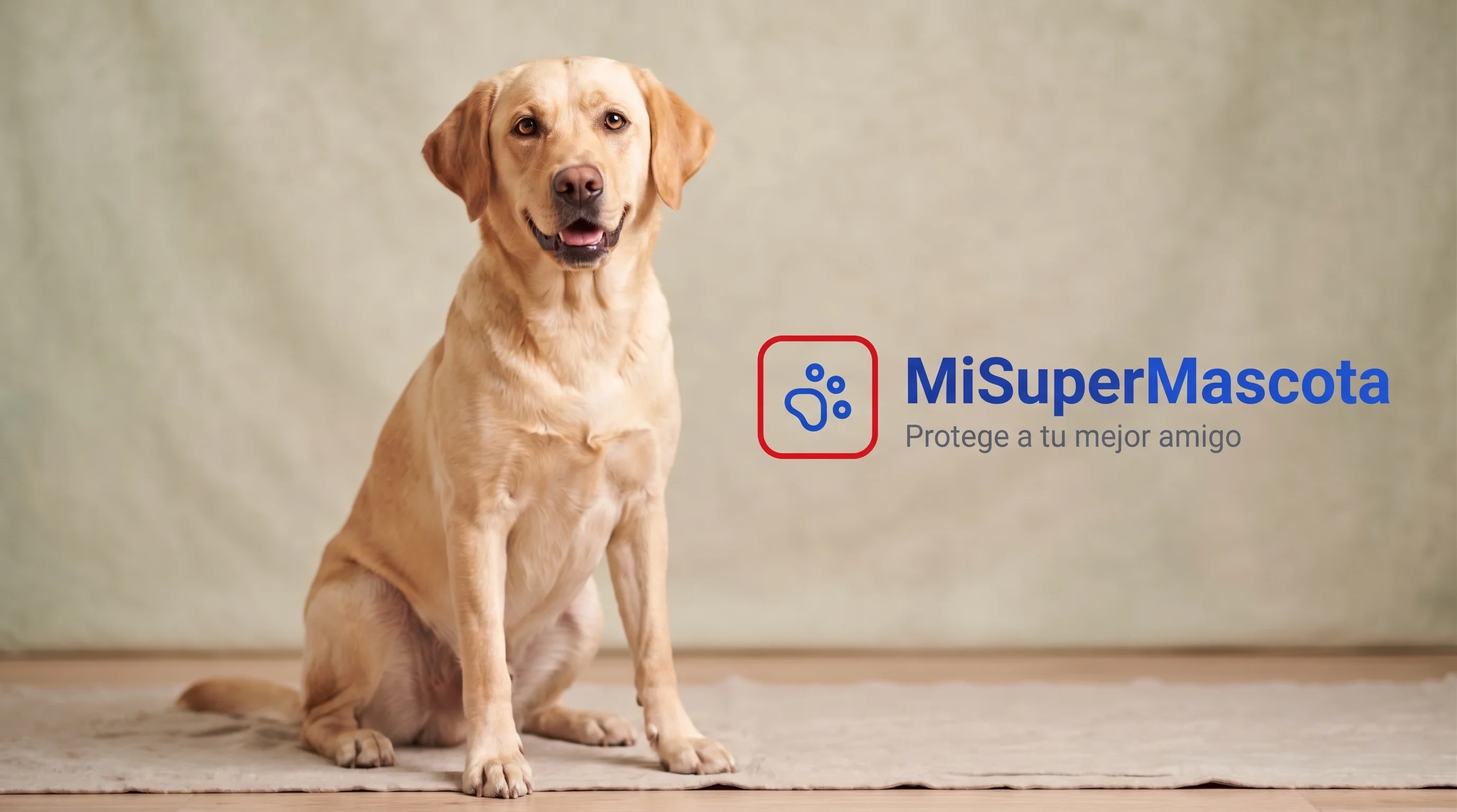MiSuperMascota - Seguro para Labrador Retriever Un perro Labrador Retriever amarillo de pura raza sentado sobre una alfombra de lino frente a un fondo texturizado de color verde oliva pálido. A la derecha, el logotipo de MiSuperMascota, que consiste en un icono de huella azul dentro de un marco cuadrado rojo redondeado, el nombre de la marca "MiSuperMascota" en azul y el lema "Protege a tu mejor amigo" en gris.